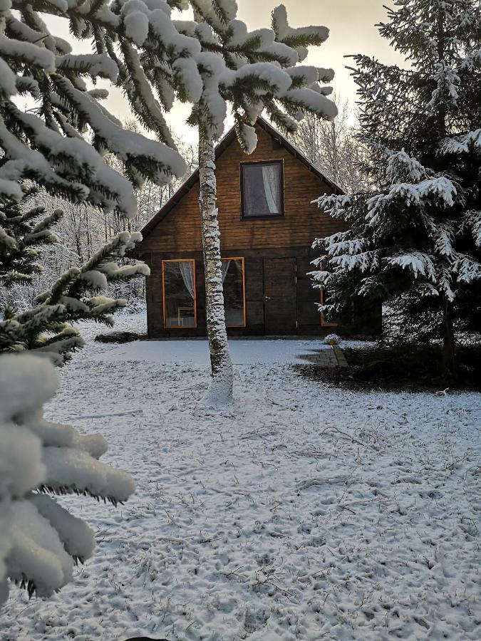 Brivdienu Maja "Raudini" Kaltene Exterior photo